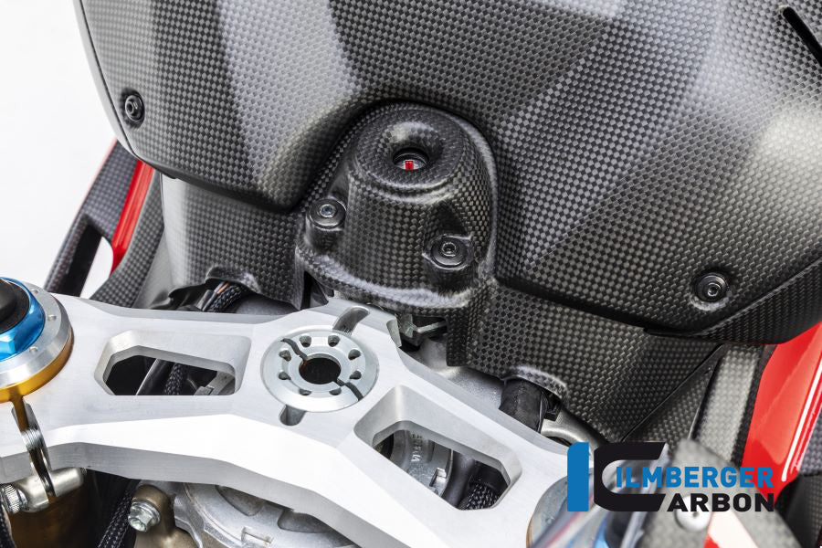 Ilmberger Carbon Ignition Switch Cover Ducati Panigale V4 / V4 S - Matte