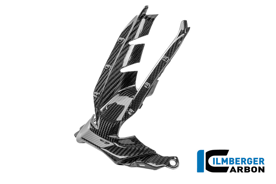 Ilmberger Carbon Air Intake Carbon Gloss S 1000 RR Street (From 2025)