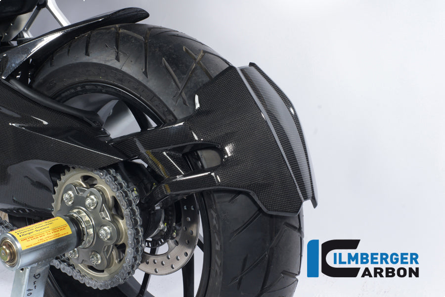 Ilmberger Carbon Rear Splash Guard - Gloss