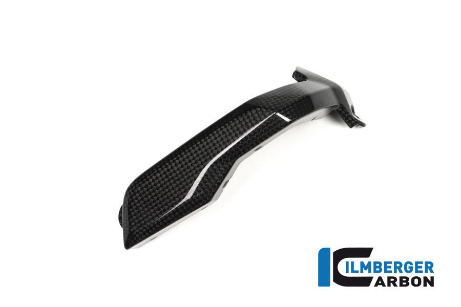 Ilmberger Carbon Spark Plug Cover Right Side Carbon - BMW R 1200 GS (LC) From 2013 To 2015