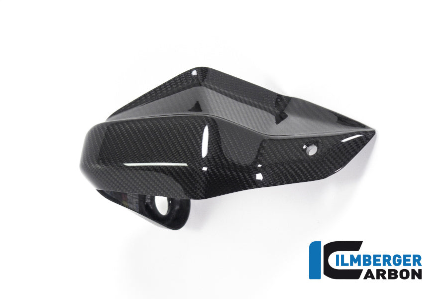 Ilmberger Carbon Hand Protector Right Side BMW R 1250 GS