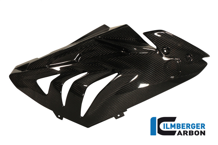 Ilmberger Carbon Fairing Side Panel Racing 2012 Carbon