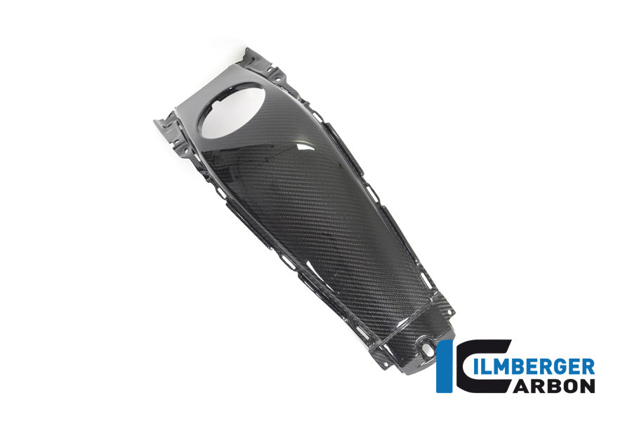 Ilmberger Carbon Tank Centre Panel - BMW K 1600 GT / K 1600 GTL / K 1600 Bagger