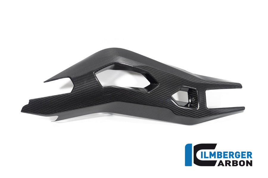 Ilmberger Carbon Swing Arm Cover Left Side BMW S 1000 XR From MY 2020