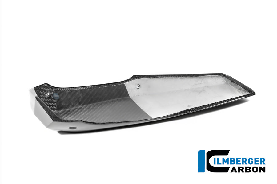 Ilmberger Carbon Motor Spoiler BMW R12 NineT 2024 - Gloss / Twill