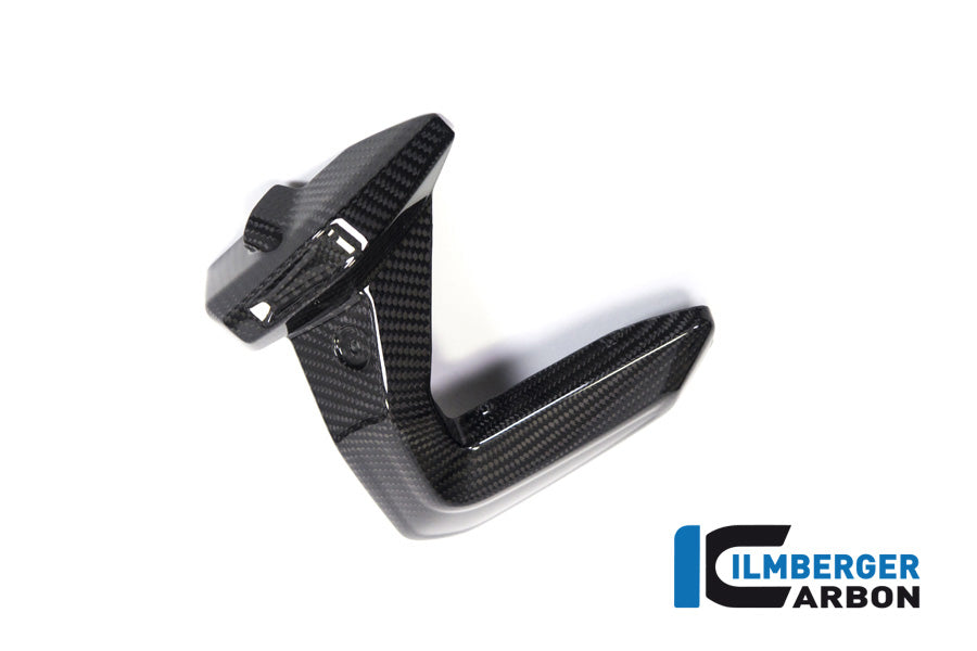 Ilmberger Carbon Spark Plug Cover Right Side BMW R 1250 GS / R 1250 R, And RS