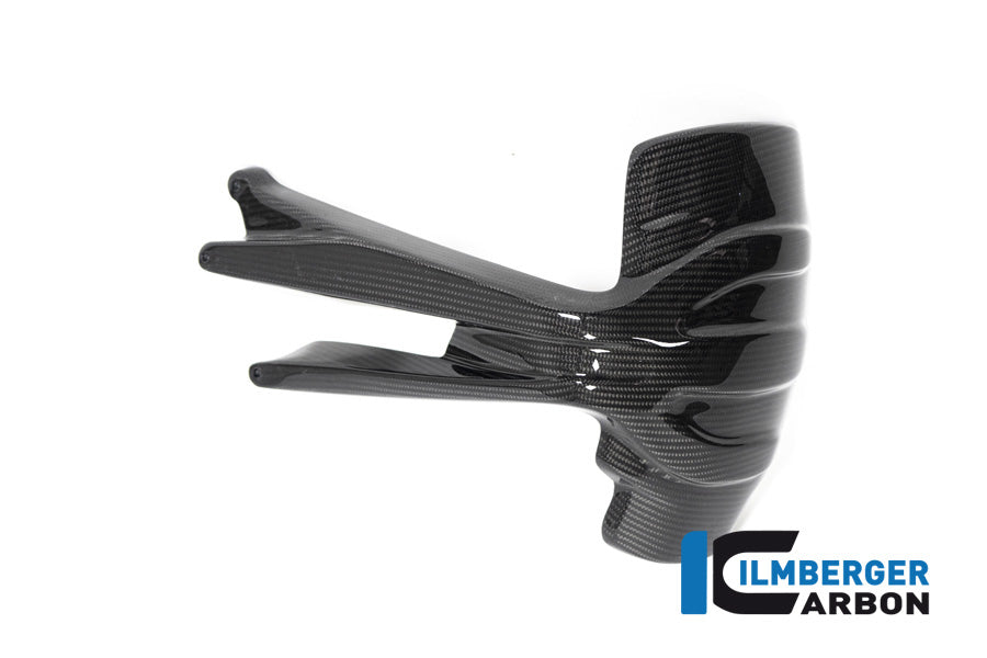 Ilmberger Carbon Rear Splash Guard BMW R 1250 GS From 2019