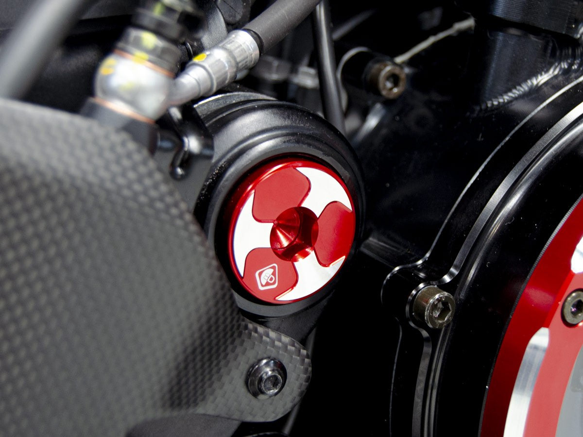 Ducabike DBK TTF08 DIAVEL V4 KIT CENTRAL FRAME CAPS (Swing Arm)