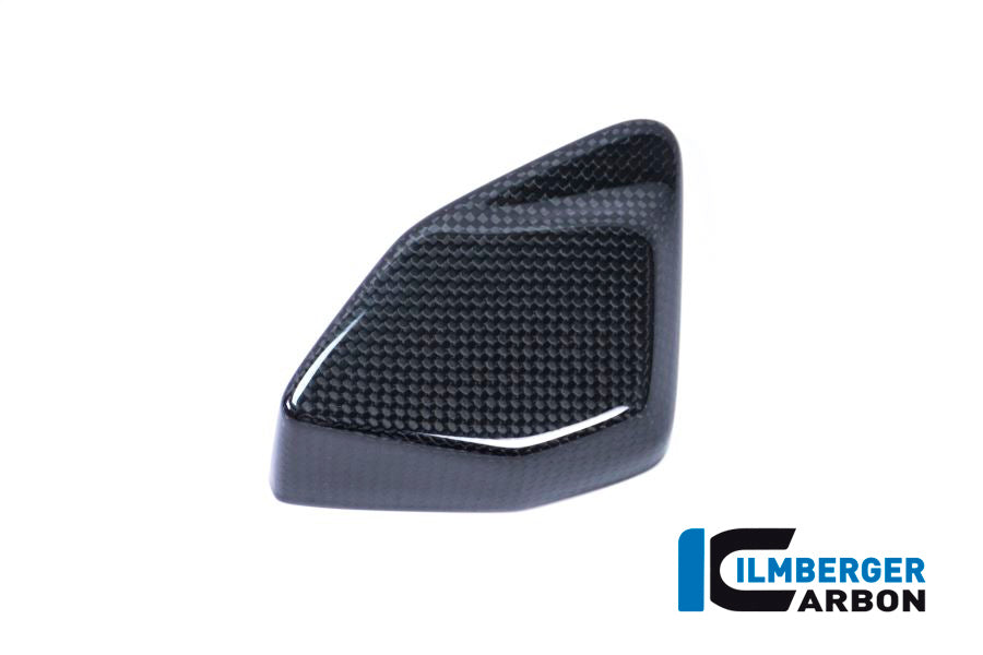 Ilmberger Carbon ESA Box Cover BMW R 1200 GS