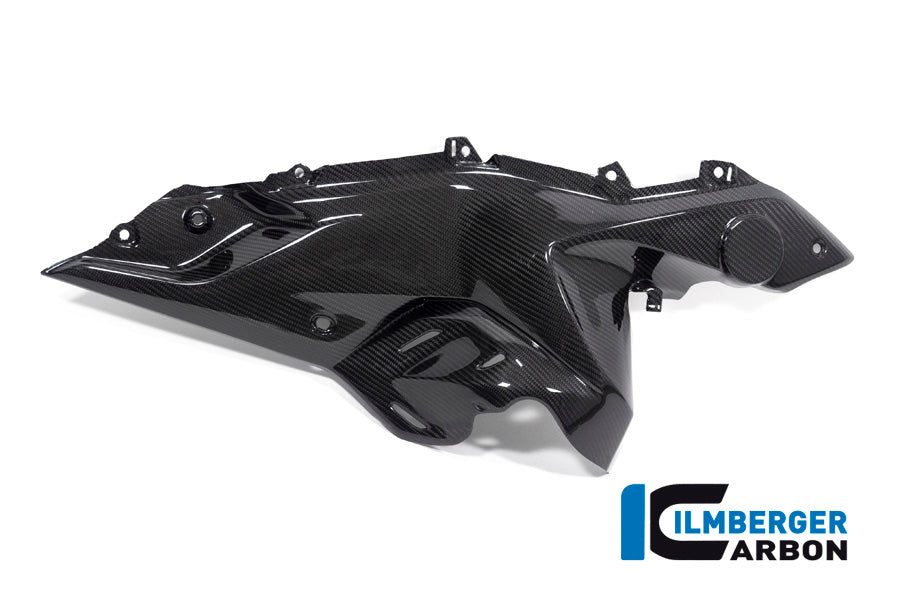 Ilmberger Carbon Side Panel Under The Tank Right Side BMW R 1250 RS