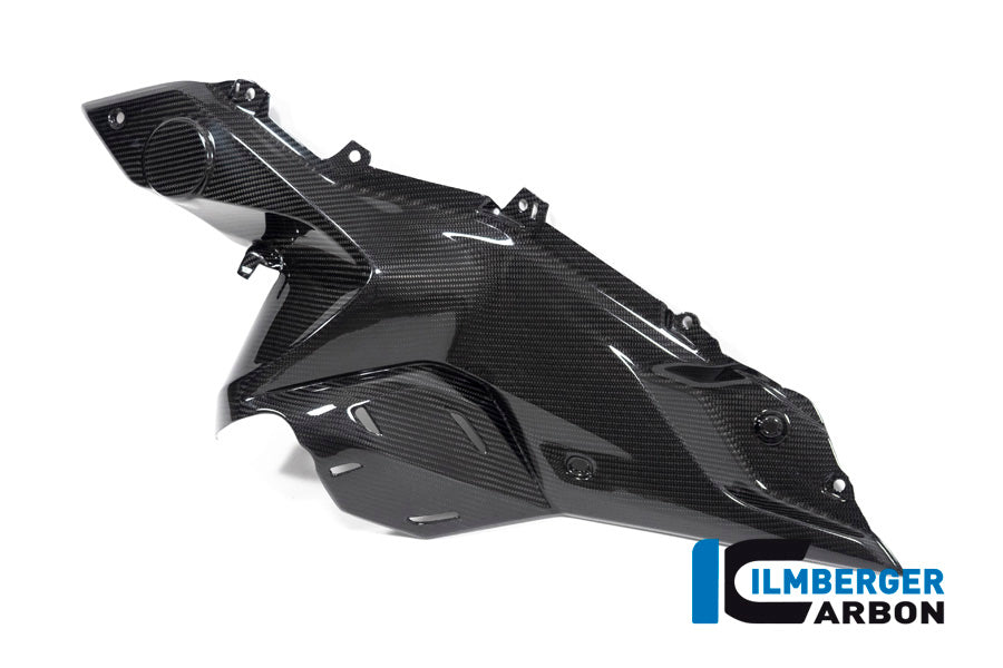Ilmberger Carbon Side Panel Under The Tank Left Side BMW R 1250 RS