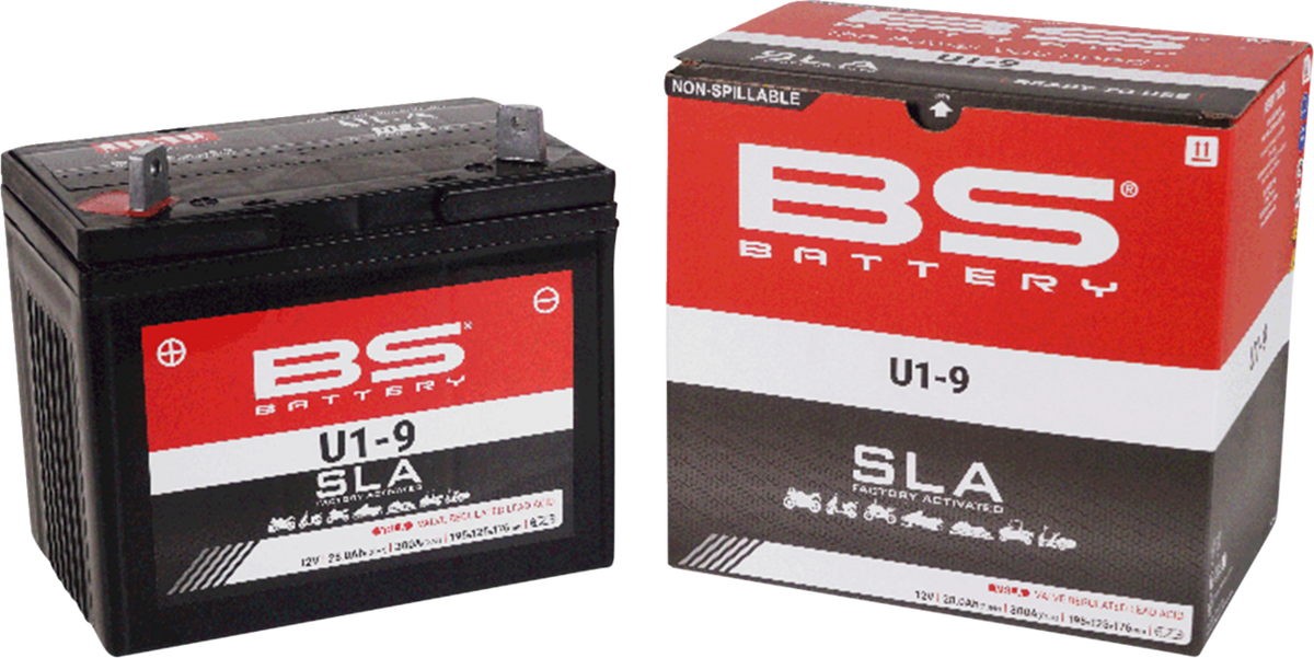 BS Battery Battery - U1-9