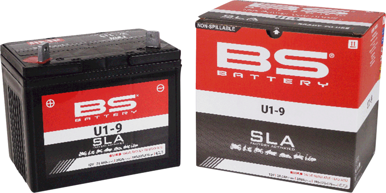 BS Battery Battery - U1-9
