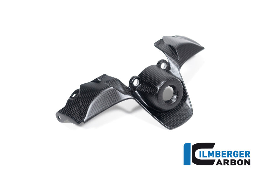 Ilmberger Carbon Ignition Switch Cover Ducati Streetfighter V2 - Matte