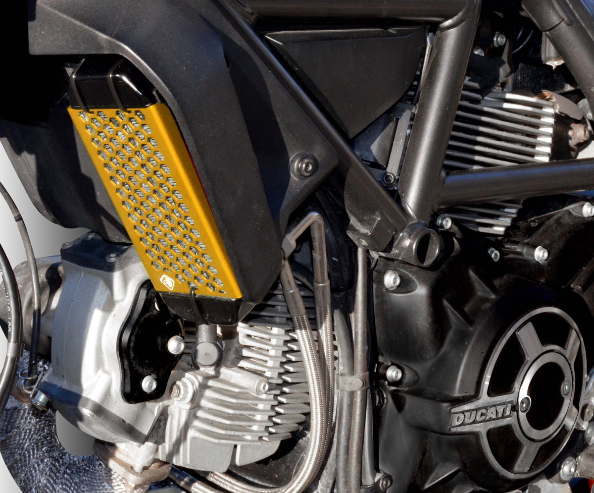 Ducabike DBK GR03 Scrambler Oil Cooler Guard