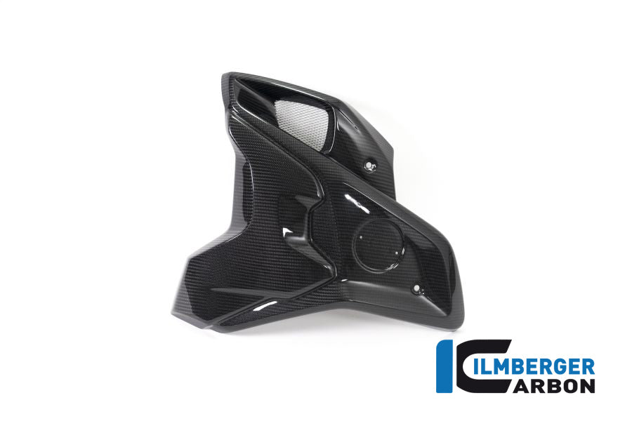 Ilmberger Carbon Airtube Left Incl. Flap (2 Pieces) BMW R 1250 GS