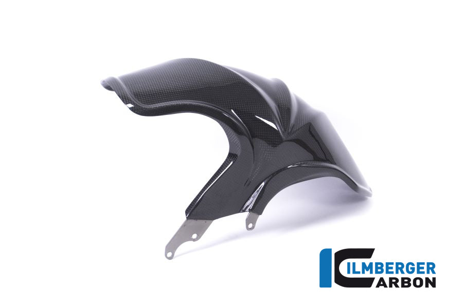 Ilmberger Carbon Rear Fender BMW R 1200 R/RS '18