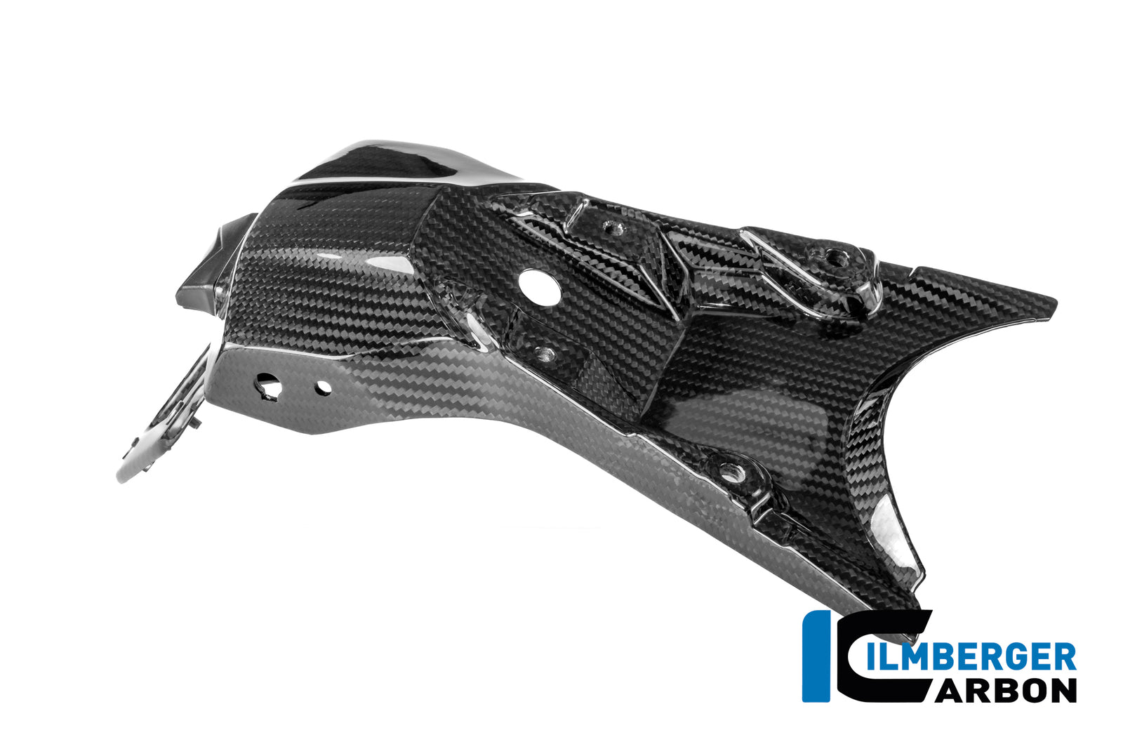 Ilmberger Carbon License Plate Holder BMW R 1300 R - Gloss / Twill