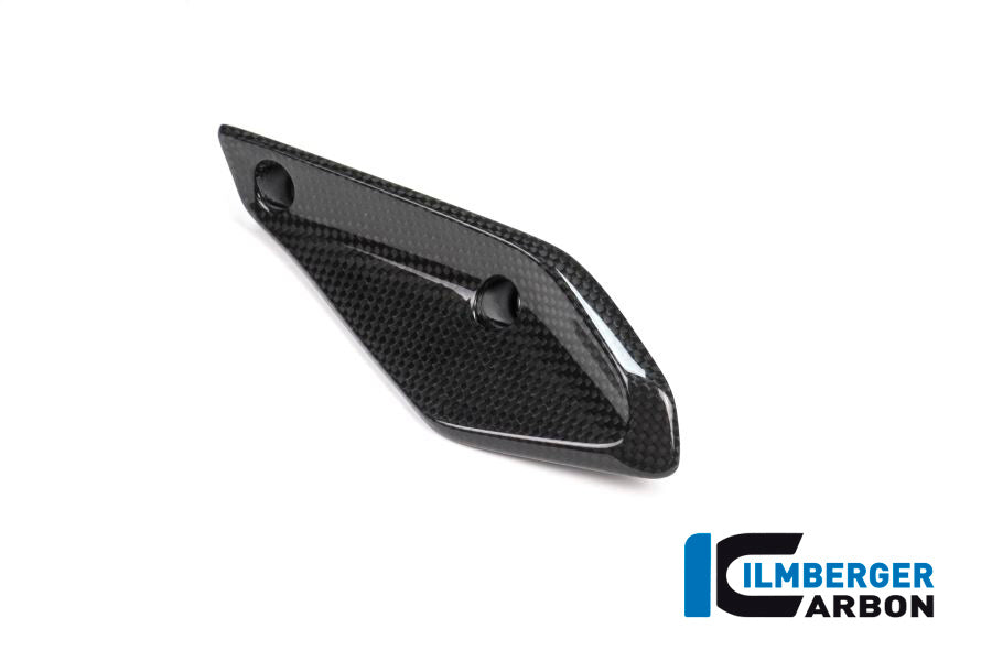 Ilmberger Carbon Verkleidungswinglet Links BMW R 1200 RS'15