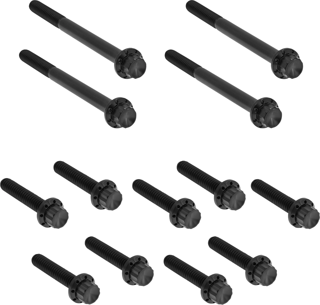 Arlen NESS Bolt Kit - Primary Cover - Titanium - 12-Point - FLT - Black