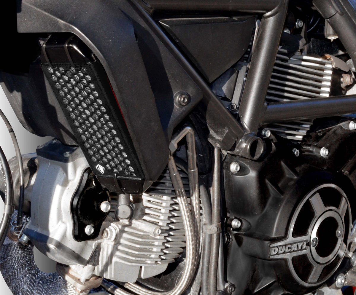 Ducabike DBK GR03 Scrambler Oil Cooler Guard
