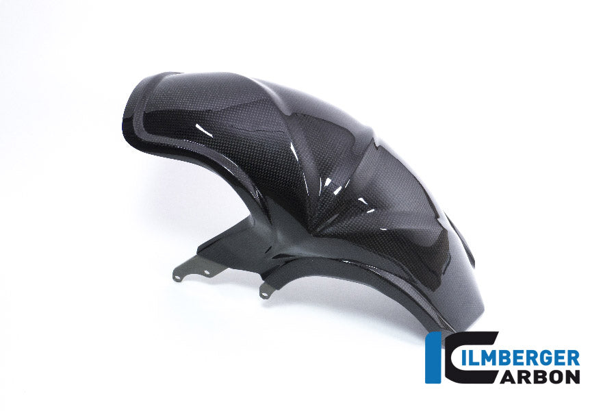 Ilmberger Carbon Rear Fender BMW R 1200GS'18