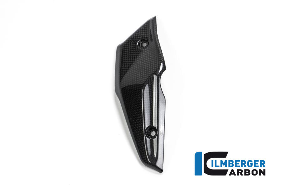 Ilmberger Carbon INJECTOR COVER - BMW R NINE T Scrambler