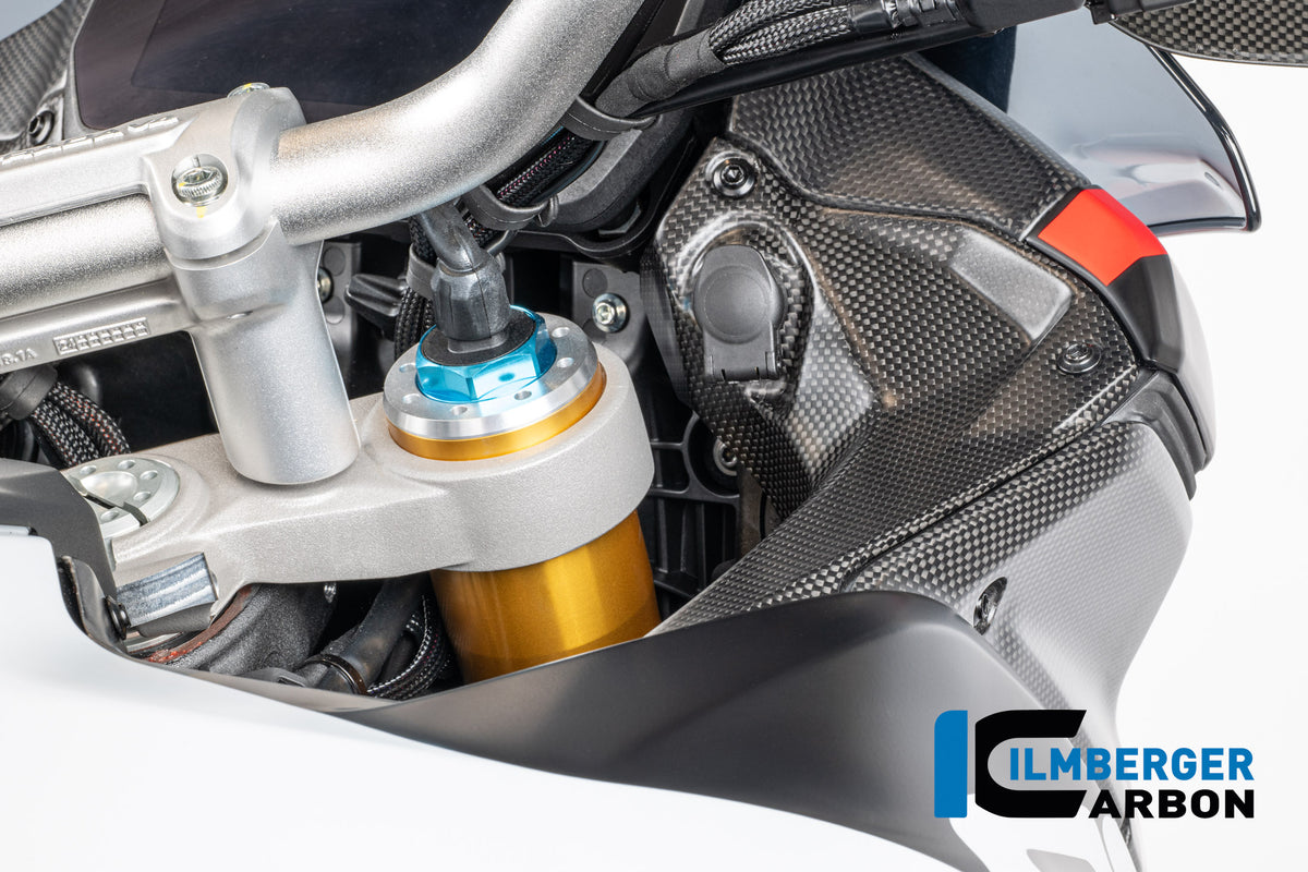 Ilmberger Carbon Cover Near The Instruments Right Side Matt Multistrada V4