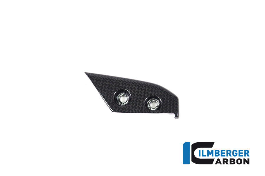 Ilmberger Carbon Instrument Cover Ducati Panigale V4 / V4 S - Gloss