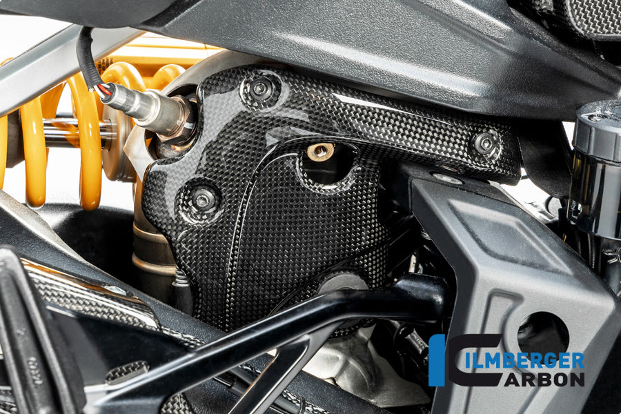 Ilmberger Carbon Exhaust Protection On The Manifold Ducati Diavel 1260 - Gloss / Plain
