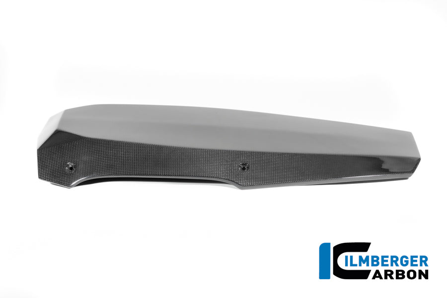 Ilmberger Carbon Motor Spoiler BMW R12 NineT 2024 - Gloss / Twill