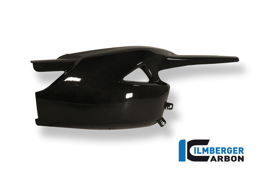 Ilmberger Carbon Swingarm Protection Carbon