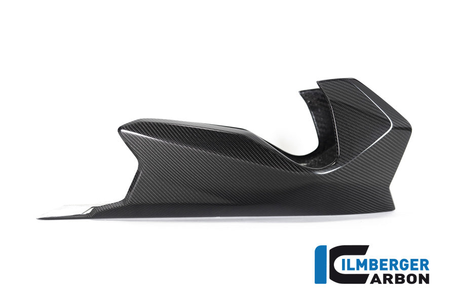 Ilmberger Carbon Bellypan BMW R 1250 R (LC) 2019