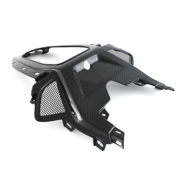 Fullsix Carbon Fiber Rear Seat Tail Panel for S1000RR M1000RR K67