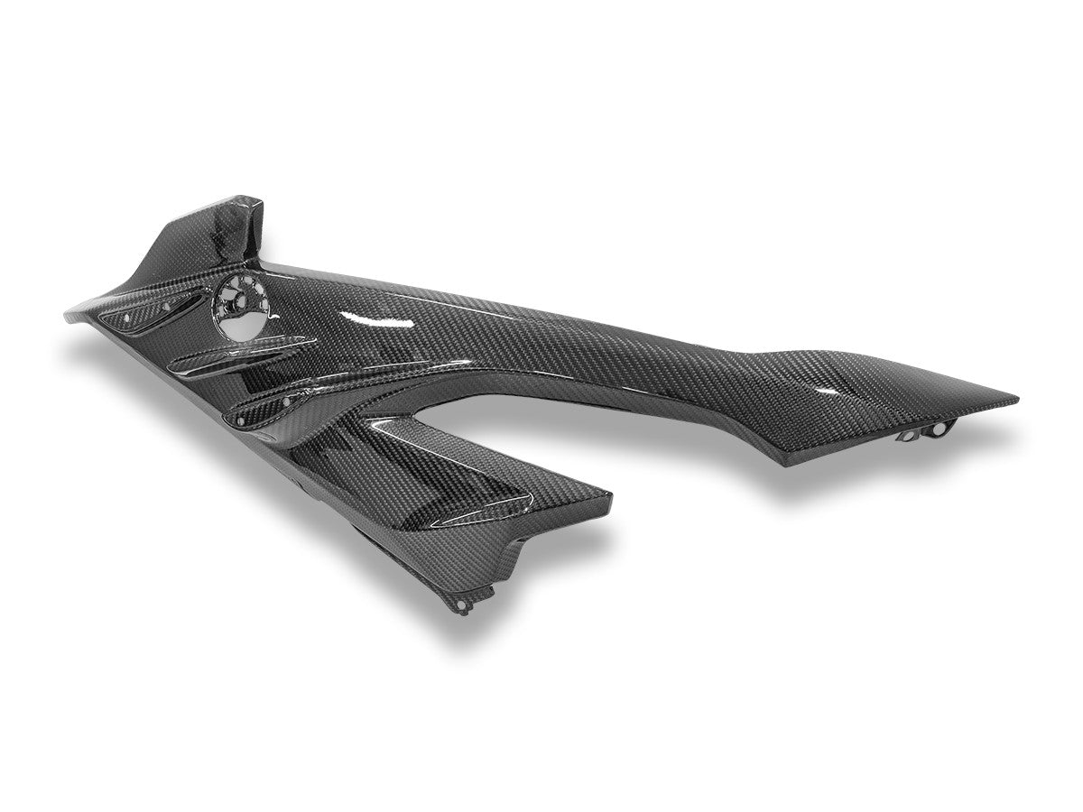 CRB219L - BMW S1000RR MY23 GLOSSY CARBON SIDE PANEL INFILL
