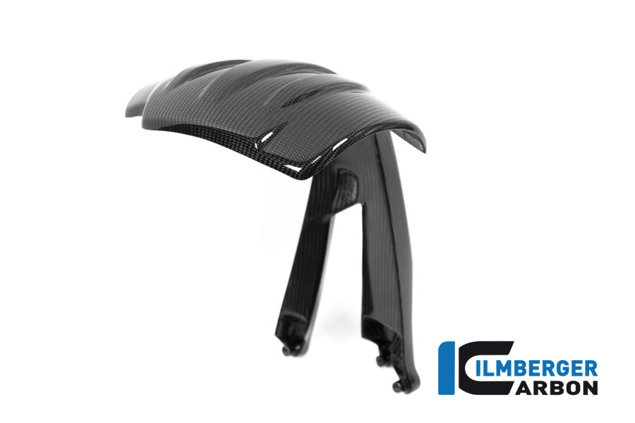 Ilmberger Carbon Rear Splash Guard BMW R 1250 GS From 2019
