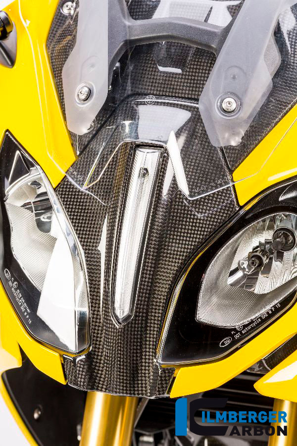 Ilmberger Carbon Verkleidungsmitterteil Oben BMW R1200RS'15
