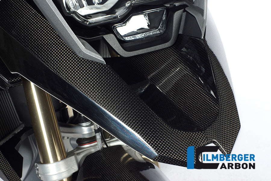 Ilmberger Carbon Beak Front / Upper Fender Carbon