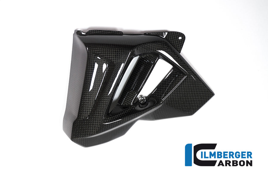 Ilmberger Carbon Left Water Radiator Cover