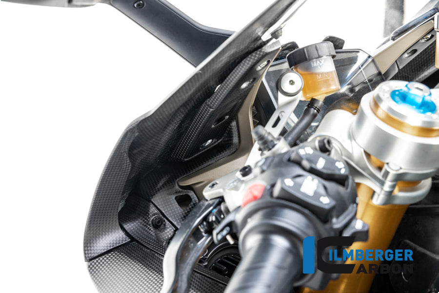 Ilmberger Carbon Instrument Cover Ducati Panigale V4 / V4 S - Matte