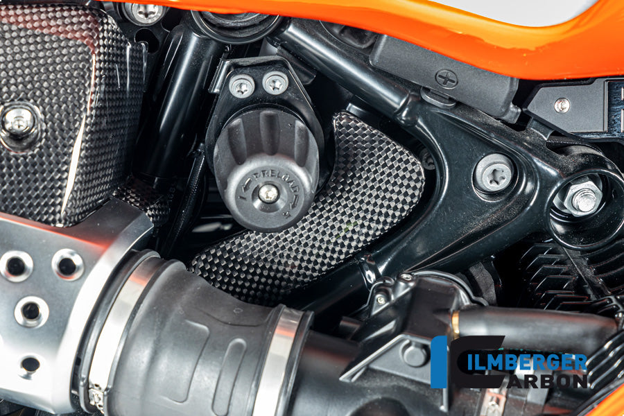 Ilmberger Carbon Toolbox Cover BMW R12 NineT - Gloss / Twill