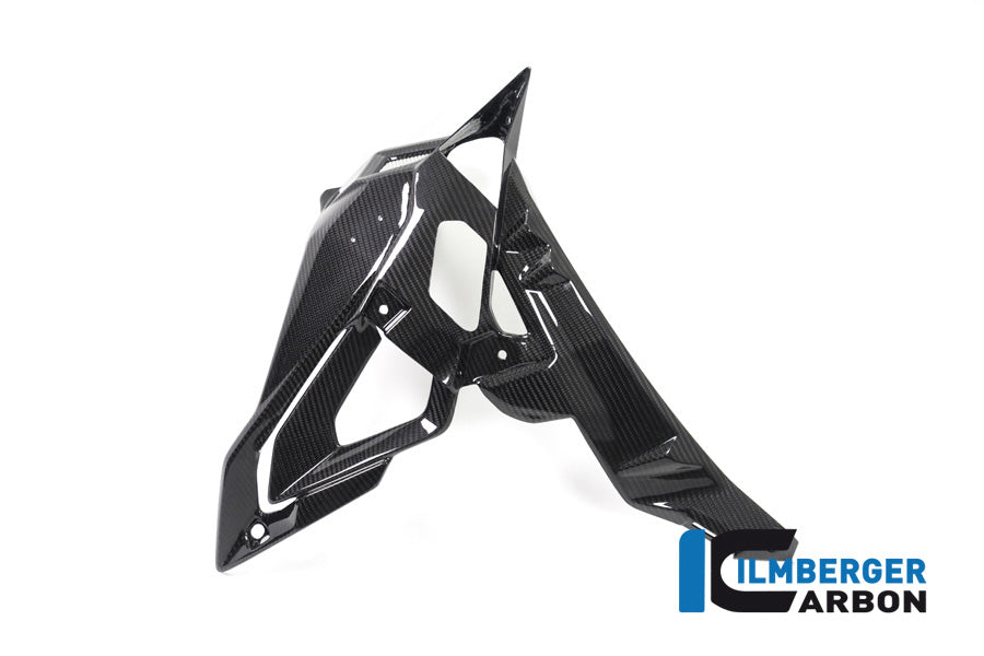 Ilmberger Carbon Radiator Cover / Badge Holder Right Side - BMW S 1000 R (Ab 2017)