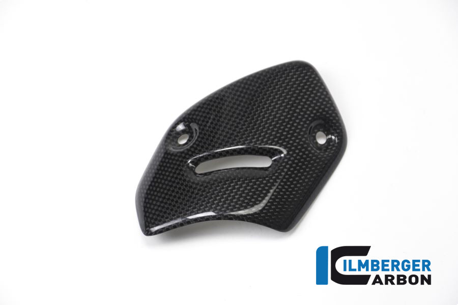 Ilmberger Carbon Protector On The Silencer Ducati XDiavel 2016 - Gloss