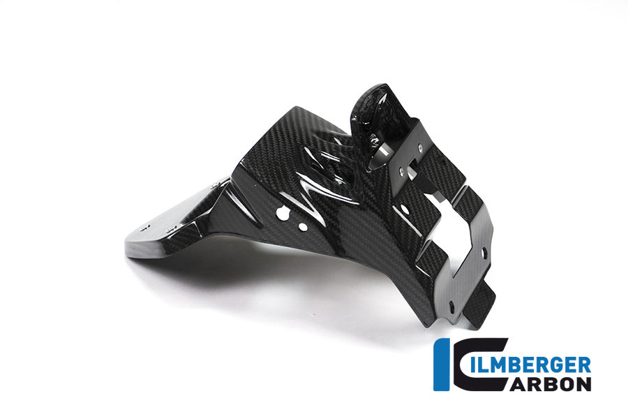 Ilmberger Carbon Number Plate Holder (Short Version) - BMW S 1000 XR MY 2015-2019