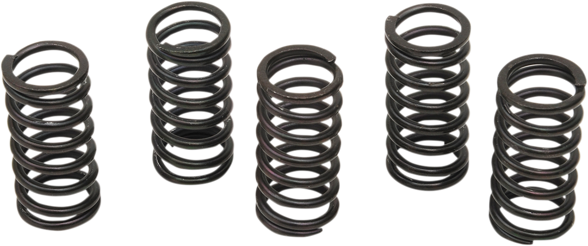 Barnett Clutch Spring Kit - Honda
