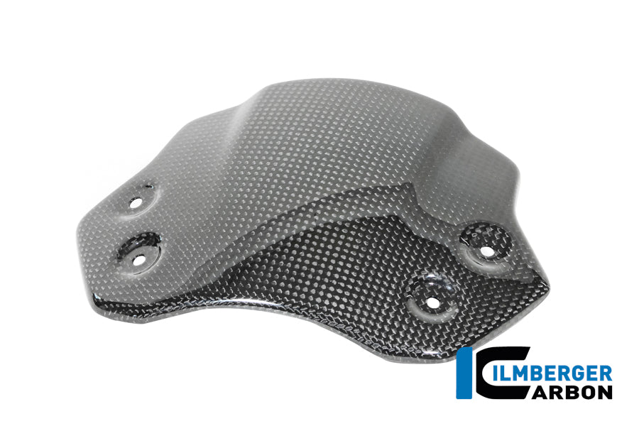 Ilmberger Carbon Windshield BMW R12 NineT - Gloss / Twill