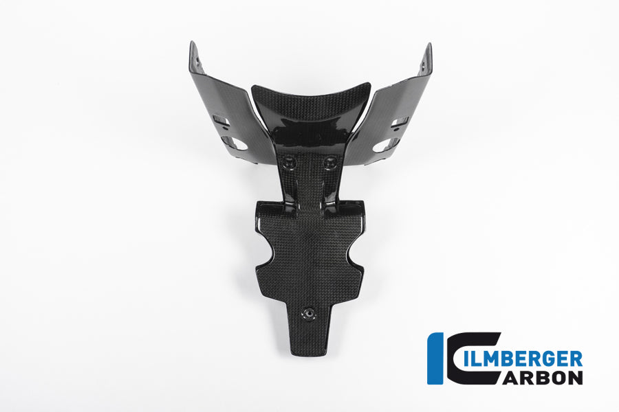 Ilmberger Carbon Numberplateholder Carbon - BMW R 1200 R (LC) From 2015 / BMW R 1200 RS (LC) From 2015