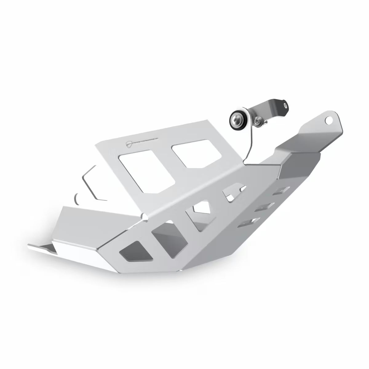 Ducati Performance Engine Guard Plate