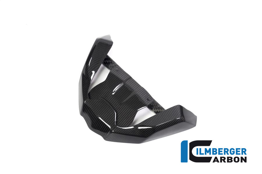 Ilmberger Carbon Front Beak Front Extension BMW R 1250 GS