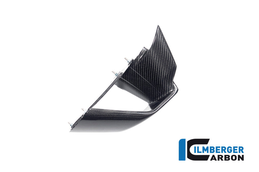 Ilmberger Carbon Wingletkit For BMW S 1000 RR From 2019